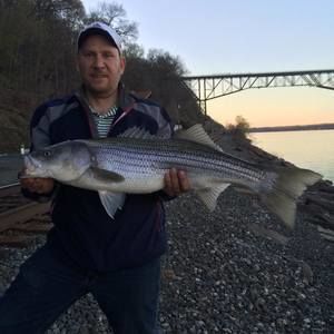 Meet your Posher, Mike